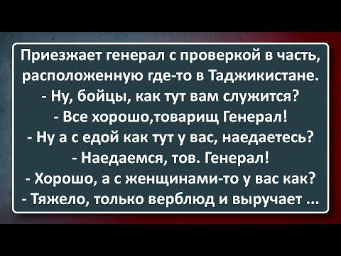 Видео: Однажды в Таджикистане! Сборник Анекдотов Синего Предела №189