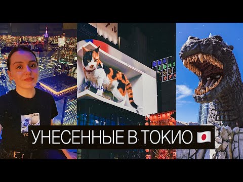 Видео: УНЕСЕННЫЕ В ТОКИО 🤍❤️ ЯПОНИЯ ВЛОГ 🇯🇵