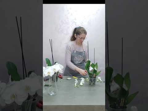 Видео: Букет невесты из орхидей