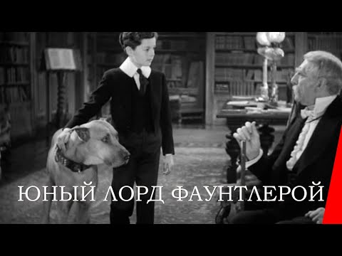 Видео: ЮНЫЙ ЛОРД ФАУНТЛЕРОЙ (1936) семейный