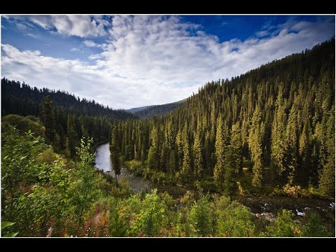 Видео: # ЛОВЛЯ КРУПНОГО ХАРИУСА НА ТАЁЖНОЙ РЕКЕ ХАКАСИИ#