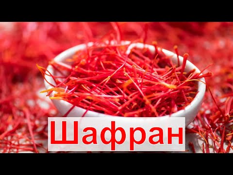Видео: Шафран практика вирощування та збір урожаю