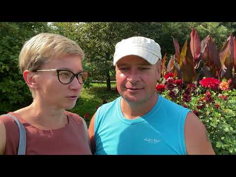 Видео: ПАРК птиц  " ВОРОБЬИ "