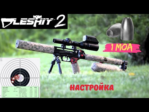 Видео: У меня получилось!!!! Эдган Леший 2, настройка под слаги, 1 MOA кучность. EdGun Leshiy 2