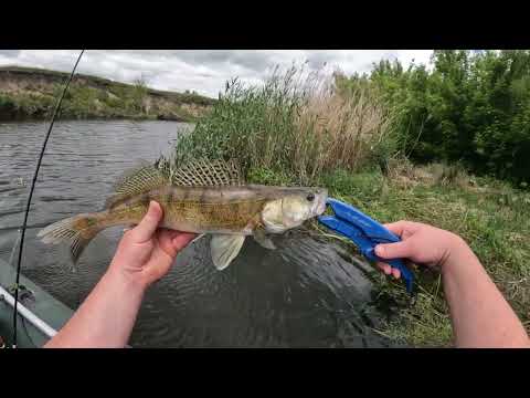 Видео: Рибалка на р.Горинь після нересту! Перші спроби з боковим кивком! Рибалка 2025