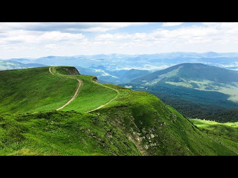 Видео: Свидовець - Повний випуск