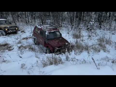 Видео: по заячьим тропам