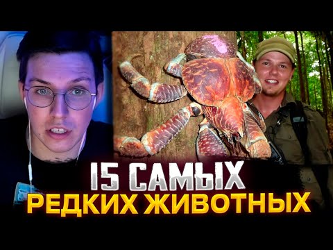 Видео: МАЗЕЛЛОВ СМОТРИТ : 15 САМЫХ РЕДКИХ ЖИВОТНЫХ В МИРЕ