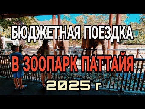 Видео: Самый дешевый способ попасть в зоопарк Кхао Кхео!
