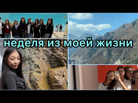 Видео: VLOG: 7 деньков сентября🩵 