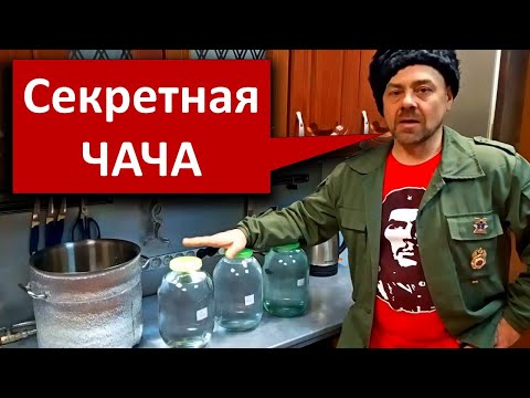 Видео: Секретный рецепт ЧАЧИ. Домашний виноградный самогон. Лучший рецепт. Чача. Часть 2