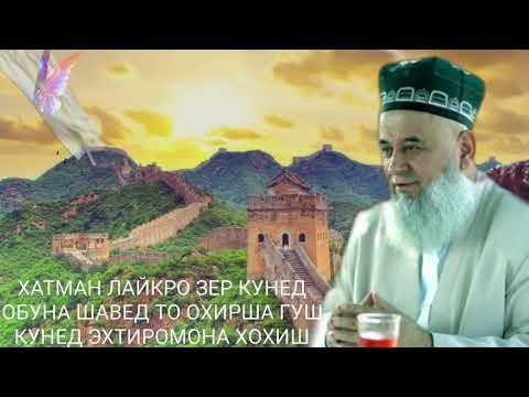 Видео: Хочи Мирзо 2021   Саволу Чавоб 16 Ноябрь