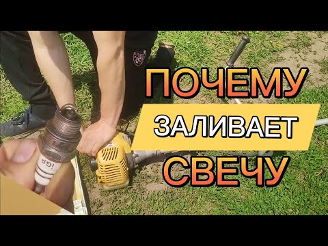 Видео: БЕНЗОКОСА НЕ ЗАВОДИТСЯ И ЗАЛИВАЕТ СВЕЧУ / Неожиданно решил проблему