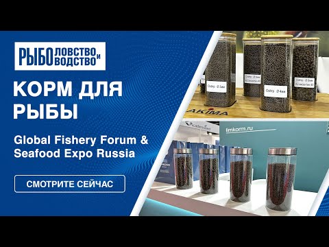 Видео: Корм для рыбы | Seafood Expo Russia 2023