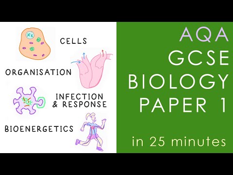 Видео: Весь экзаменационный билет AQA BIOLOGY №1 за 25 минут — GCSE Science Revision