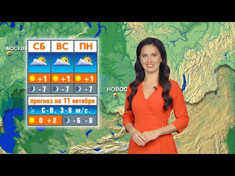 Видео: Прогноз погоды на 11 октября в Новосибирске