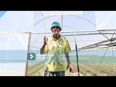 Видео: ДОМАТИ ОТГЛЕЖДАНЕ И МЪДРОСТ