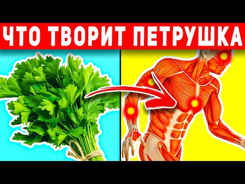 Видео: ВОТ ЧТО ТВОРИТ ПЕТРУШКА! (Реальная Польза и Вред Петрушки)