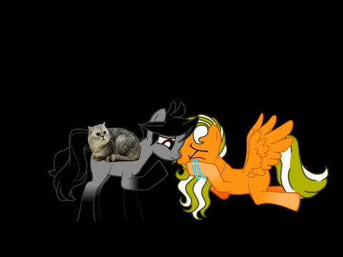 Видео: клип пони ))) твоя девушка ушла