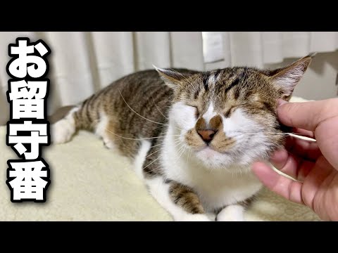 Видео: Весна в заснеженной стране | Рамэн на любимом горнолыжном курорте | EcoFlow RIVER 2 Pro