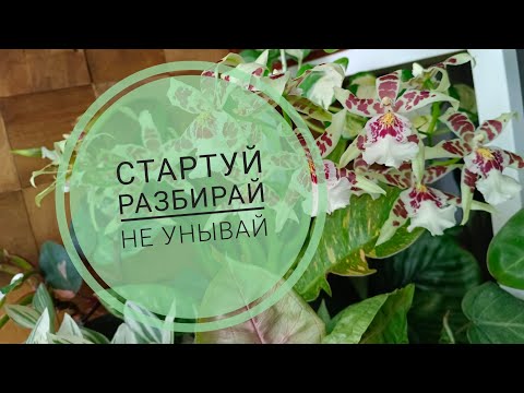 Видео: Влог октября. Пробую стартовать и что-то крушу 