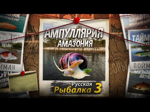 Видео: "Мутант" Ампулярия. Амазония. Русская Рыбалка 3.