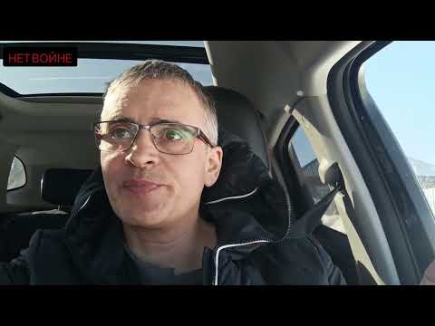 Видео: Продал 10 быков. Результаты