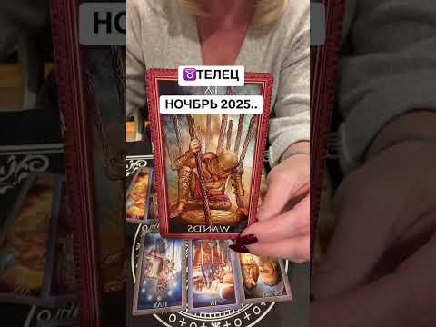 Видео:  ♉️ Телец Ноябрь 2025 