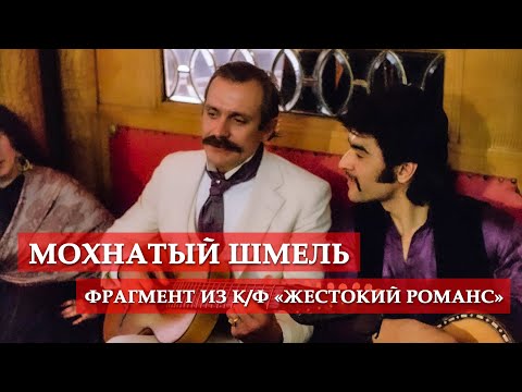 Видео: Мохнатый шмель (фрагмент из кинофильма "Жестокий романс") #мосфильм