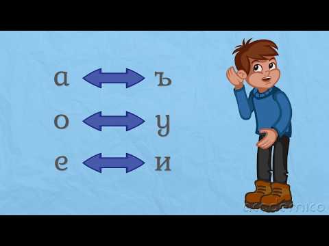 Видео: Правопис и правоговор на думата - Български език 5 клас | academico