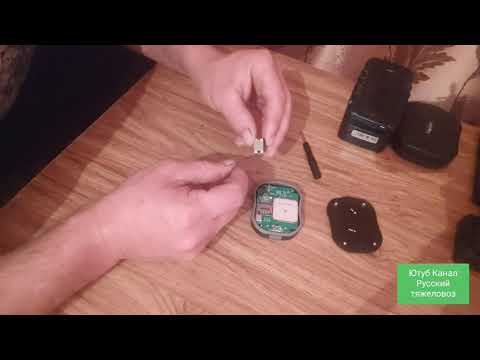 Видео: Как настроить Gps treker для животных.