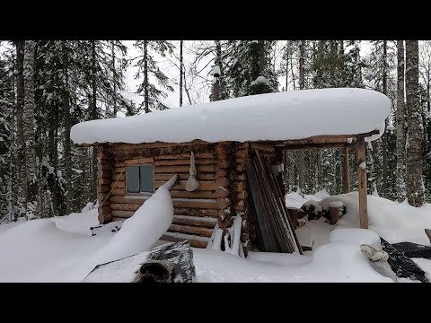 Видео: ОДИНОЧНЫЙ ПОХОД НА ТАЁЖНУЮ РЕЧКУ \ ЖИЗНЬ В ЛЕСНОЙ ИЗБЕ \ Часть 2 \ ПРИВЕТЫ \ ПОДВОДНАЯ СЪЁМКА