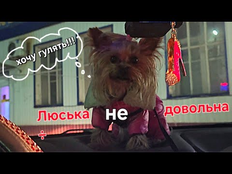 Видео: Готовлю сад к зиме/ночная прогулка.
