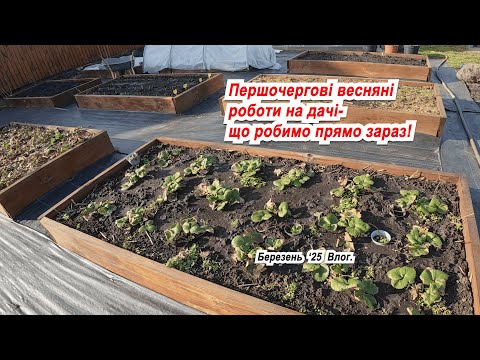 Видео: Що робимо на дачі в березні- першочергові роботи на ділянці.