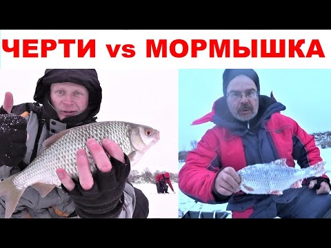 Видео: Ловля плотвы зимой / Чёрт или мормышка?