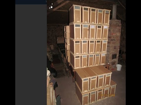 Видео: Как сделать пчелопакет. Сборка коробки для перевозки пчелопакетов.