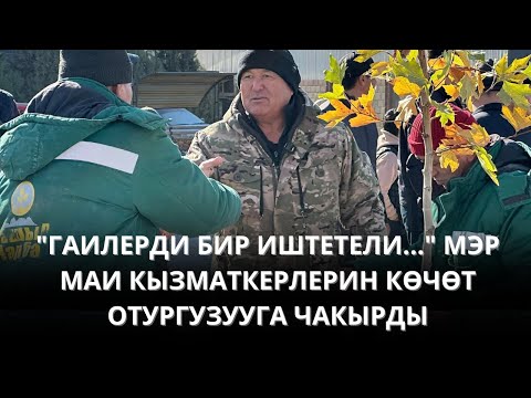 Видео: "ГАИлерди БИР ИШТЕТЕЛИ..." ОШТО МАИ КЫЗМАТКЕРЛЕРИ МЭР МЕНЕН БИРГЕЛИКТЕ КӨЧӨТ ОТУРГУЗУШТУ