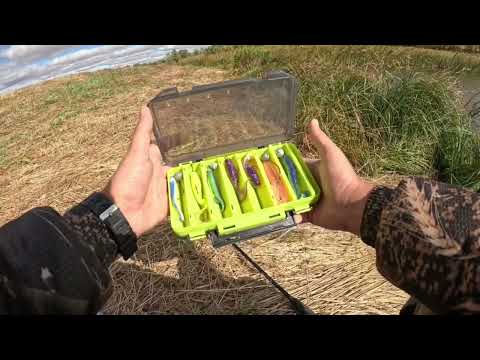 Видео: 30 октября 2025 г.