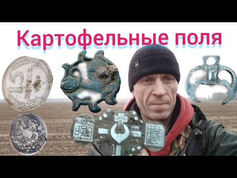 Видео: Супер находки в картофельных полях