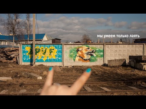 Видео: Документальный короткометражный фильм "Мы умеем только лаять"