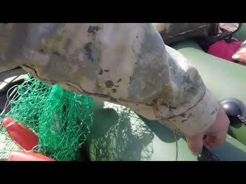 Видео: Обстановка на заливах . Заезд на залив . Капчагай . Карась крупный . Нерест. 6 апреля.