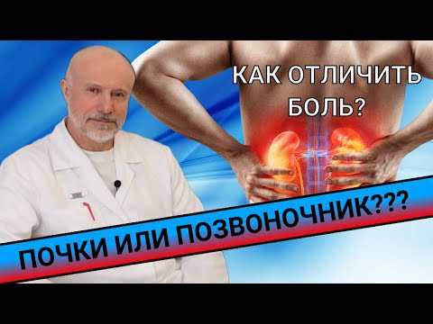 Видео: КАК ОТЛИЧИТЬ БОЛЬ В ПОЗВОНОЧНИКЕ ОТ БОЛИ В ПОЧКАХ???