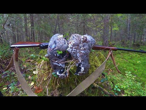 Видео: ОТЛИЧНОЕ ОТКРЫТИЕ ПО БОРОВОЙ ДИЧИ 2021Г. ОХОТА С МЕЛКАШКОЙ НА РЯБЧИКА. КЛАССИЧЕСКАЯ ОХОТА С МАНКОМ.