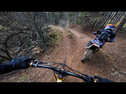 Видео: Храсталясване над Сеславци #mtb