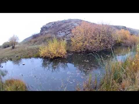 Видео: Охота на уток (МЦ-20-01)-1.10.2016