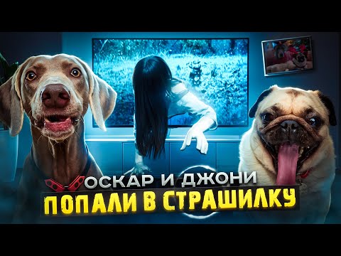 Видео: ОСКАР И ДЖОНИ ПОПАЛИ В СТРАШИЛКУ 😨