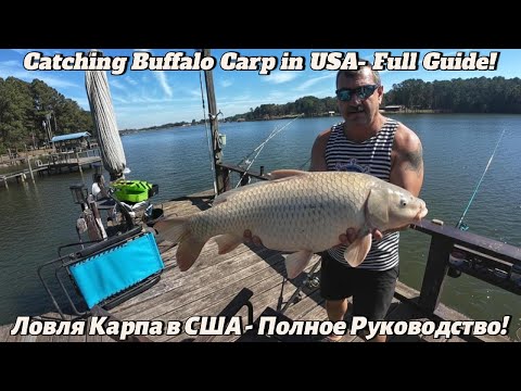 Видео: 🎣Catching Buffalo Carp in USA - Full Guide! Ловля Карпа в США - Полное Руководство!🐟