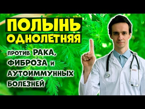 Видео: ПОЛЫНЬ против РАКА: популярное народное средство. Реально ли работает? Артемизинин: научные факты