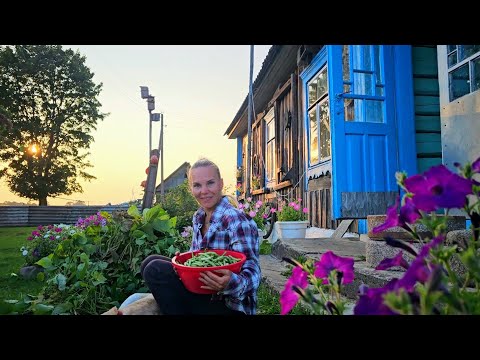 Видео: Жизнь на отшибе деревни в Беларуси. ТУТ МЫ НАШЛИ СЕБЯ! Наш урожай и работа.