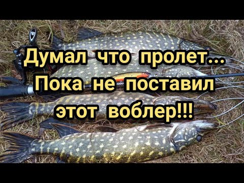 Видео: ДУМАЛ ЧТО ПРОЛЕТ... ПОКА НЕ ПОСТАВИЛ ВОБЛЕР PARTNER 110SP ОТ TsuYoki!!! ОБНОВКИ!!!